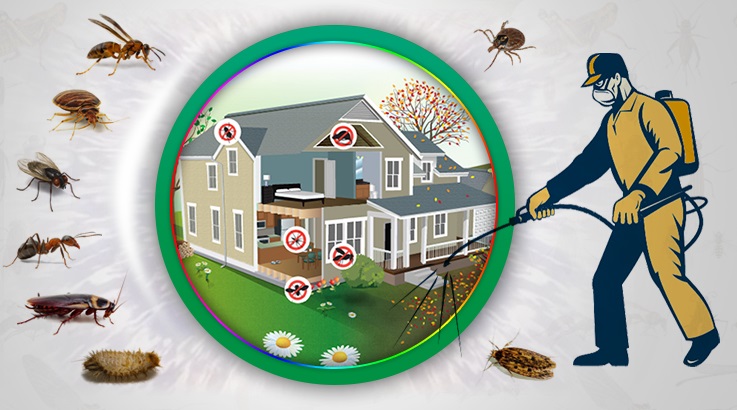 Reisdere Böcek İlaçlama