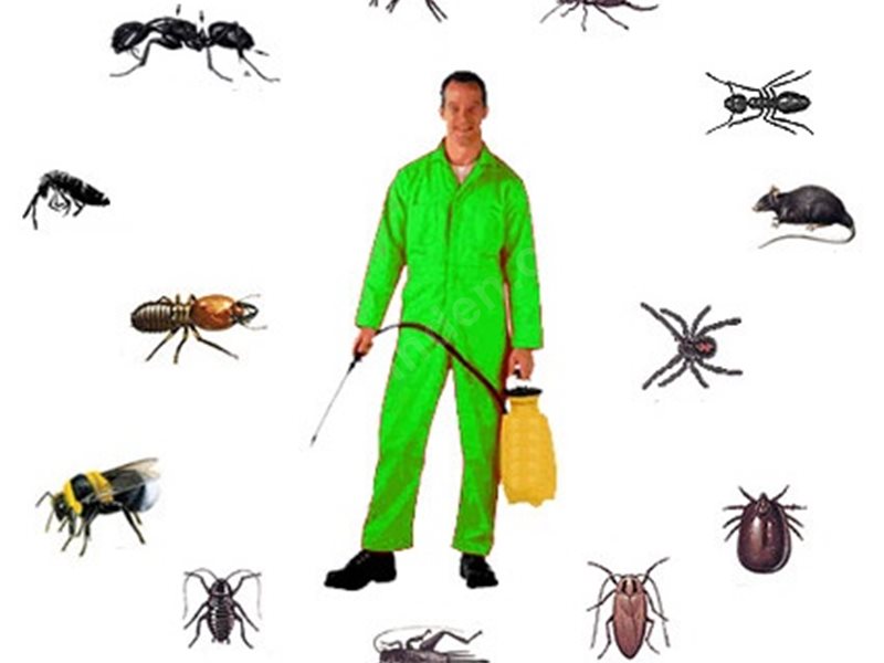 Reisdere Böcek İlaçlama